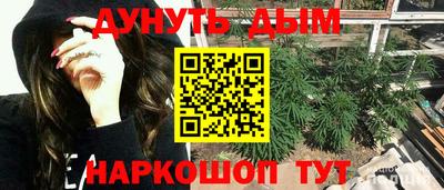 прущие крисы Можга