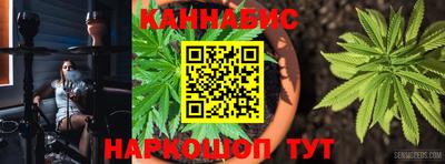 прущие крисы Можга