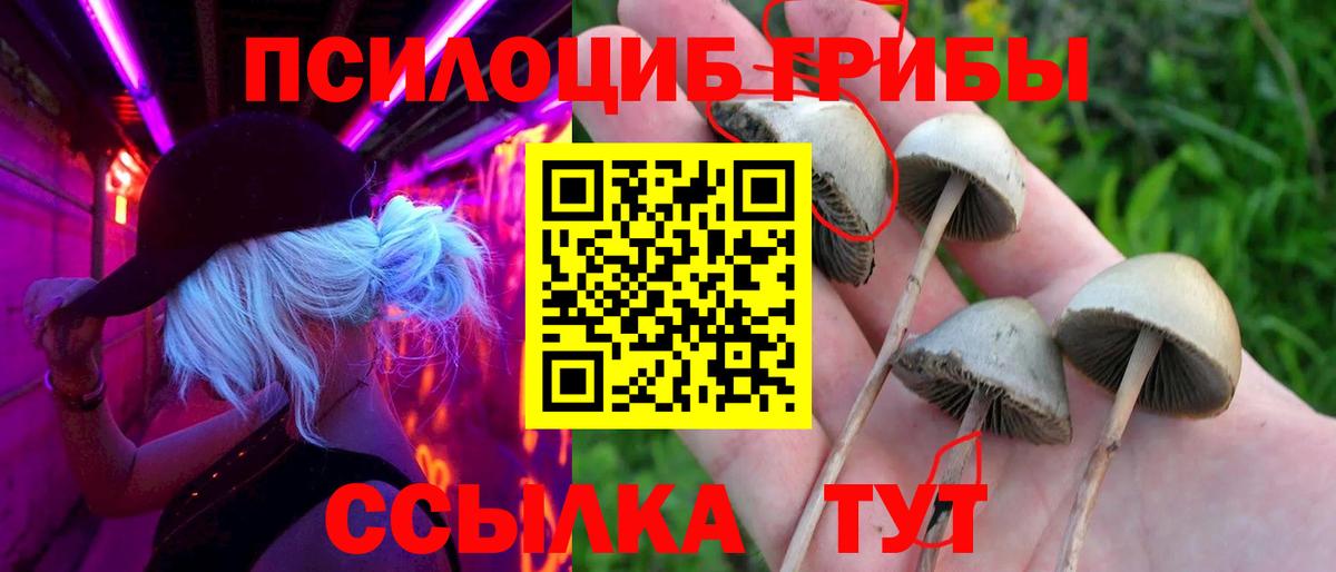 Галлюциногенные грибы GOLDEN TEACHER  Вход с VPN  Вологда 
