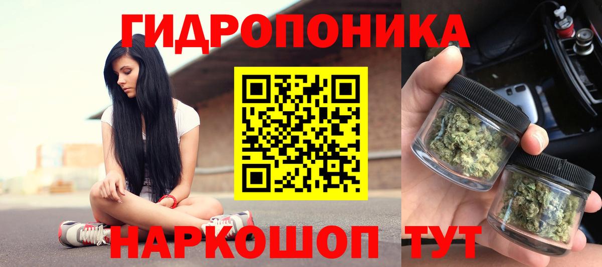 МАРИХУАНА семена  Каннабис ГИДРОПОН  Бошки марихуана гибрид  Конопля OG Kush  Вход с VPN  Вологда 